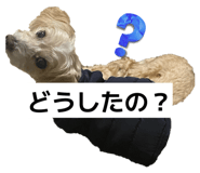842732284