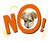 842732835