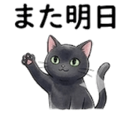 842732904