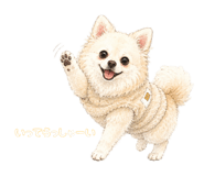 842733019