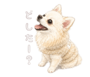 842733029