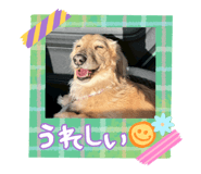 842733527