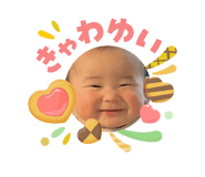 842733810