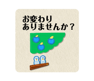 842733841