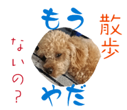 842734297