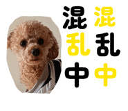 842734307