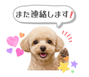 842734959