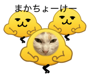 842735047