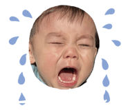 842735155