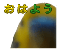 842735313