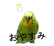 842735316