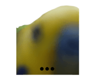 842735318