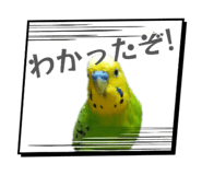 842735322