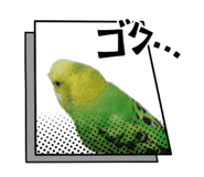 842735323
