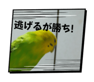 842735346