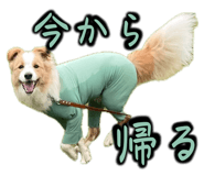 842735469