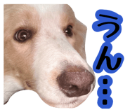 842735479