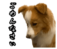 842735484