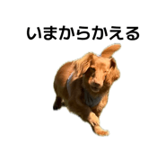 842735609