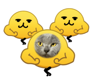842735877