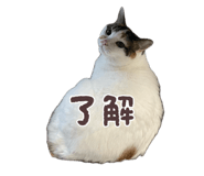 842736126