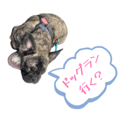 842736136