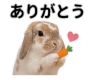 842736500