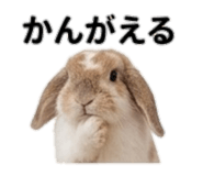 842736518