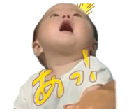 842737443