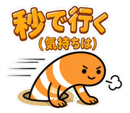 842737539