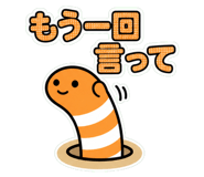 842737554