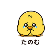 842737889