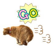842738558