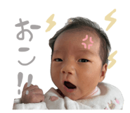 842738904