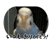 842739486
