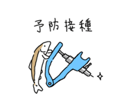 842739626