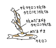 842739657