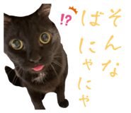 842739783