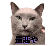 842739803