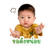 842741005