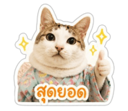 842741462