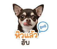 842741551