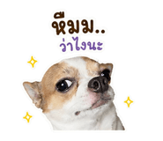 842741836