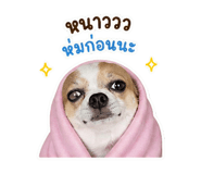 842741839