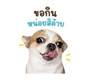 842741840