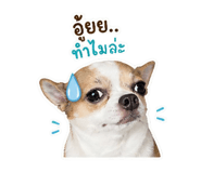 842741842