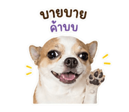 842741843