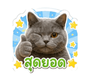 842741927