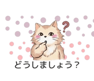 842742296