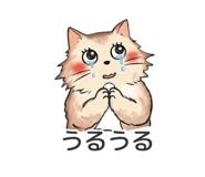 842742314
